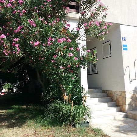 Apartman Nona Povljana Exteriér fotografie