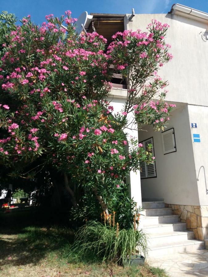 Apartman Nona Povljana Exteriér fotografie