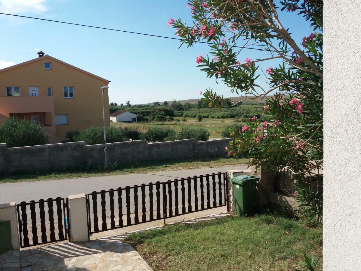 Apartman Nona Povljana Exteriér fotografie