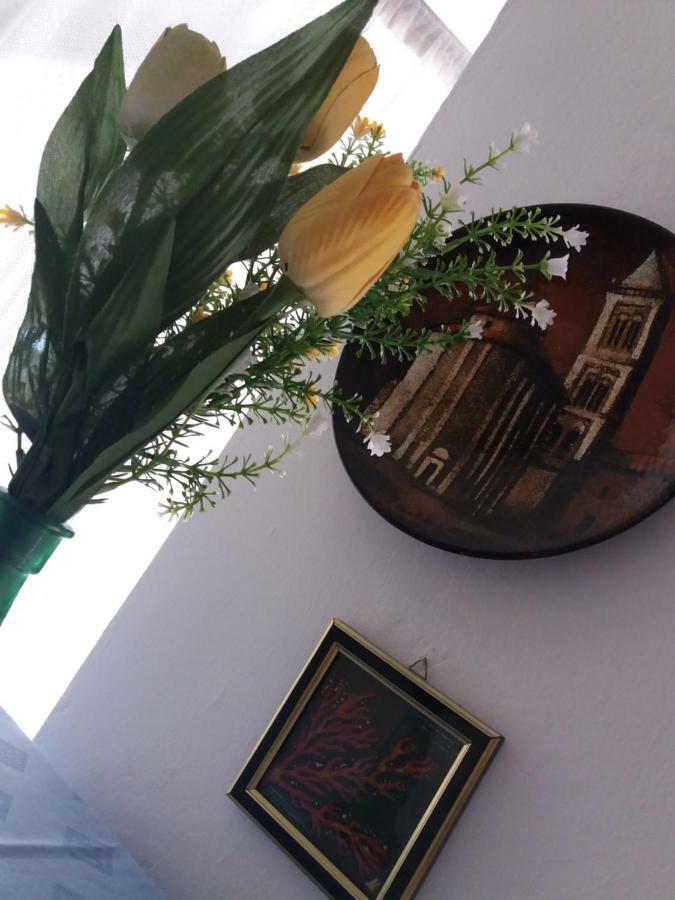Apartman Nona Povljana Exteriér fotografie